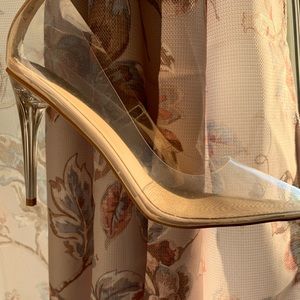 Nude Clear Stiletto Court Shoes